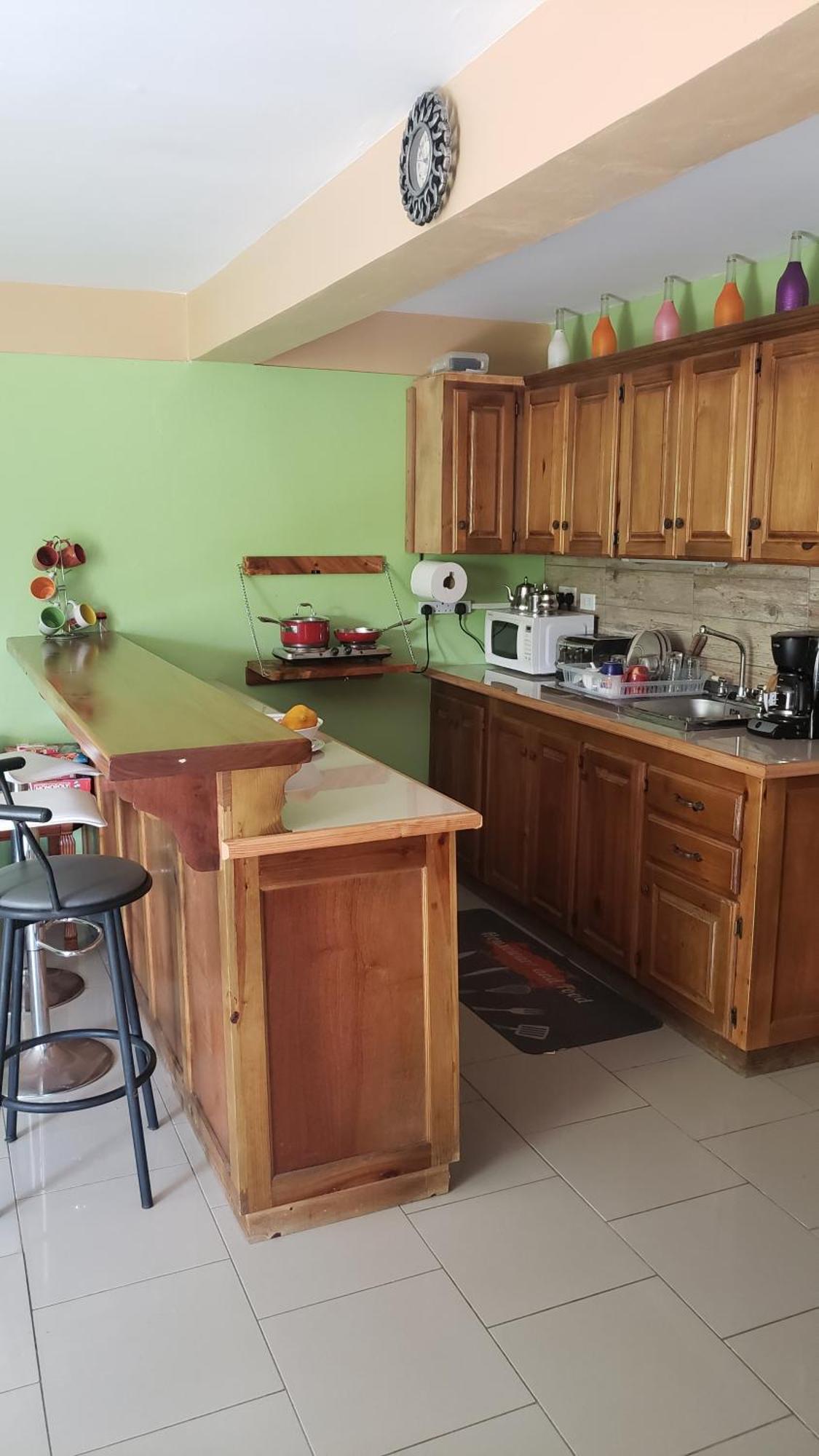 Matthew'S Miracle View Bed & Breakfast Roseau Dış mekan fotoğraf