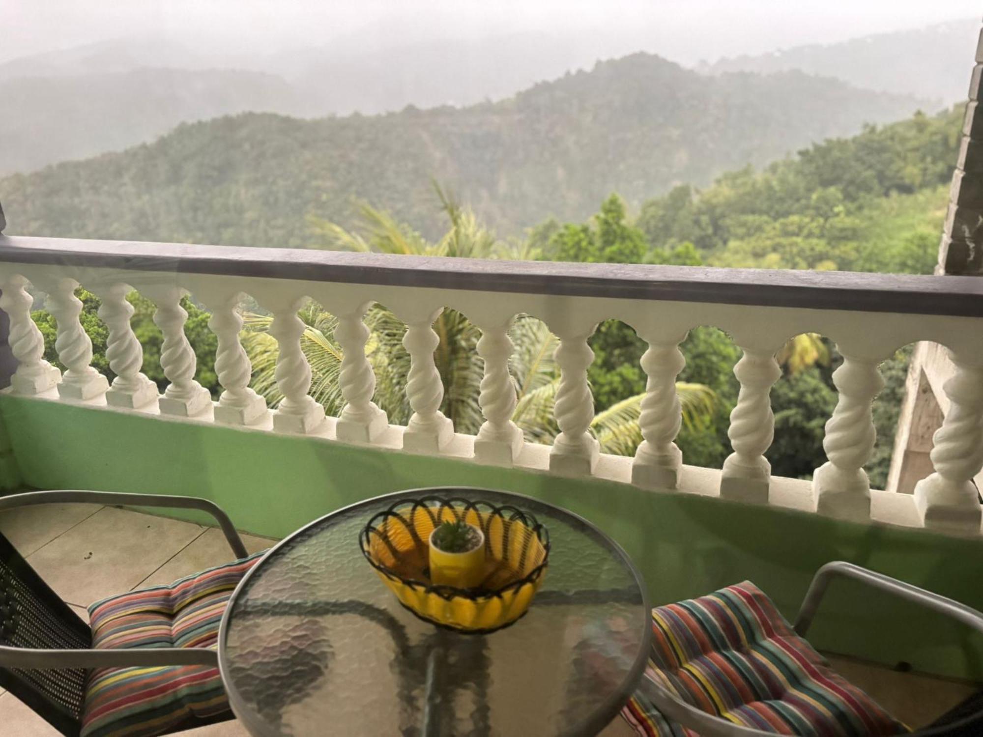 Matthew'S Miracle View Bed & Breakfast Roseau Dış mekan fotoğraf