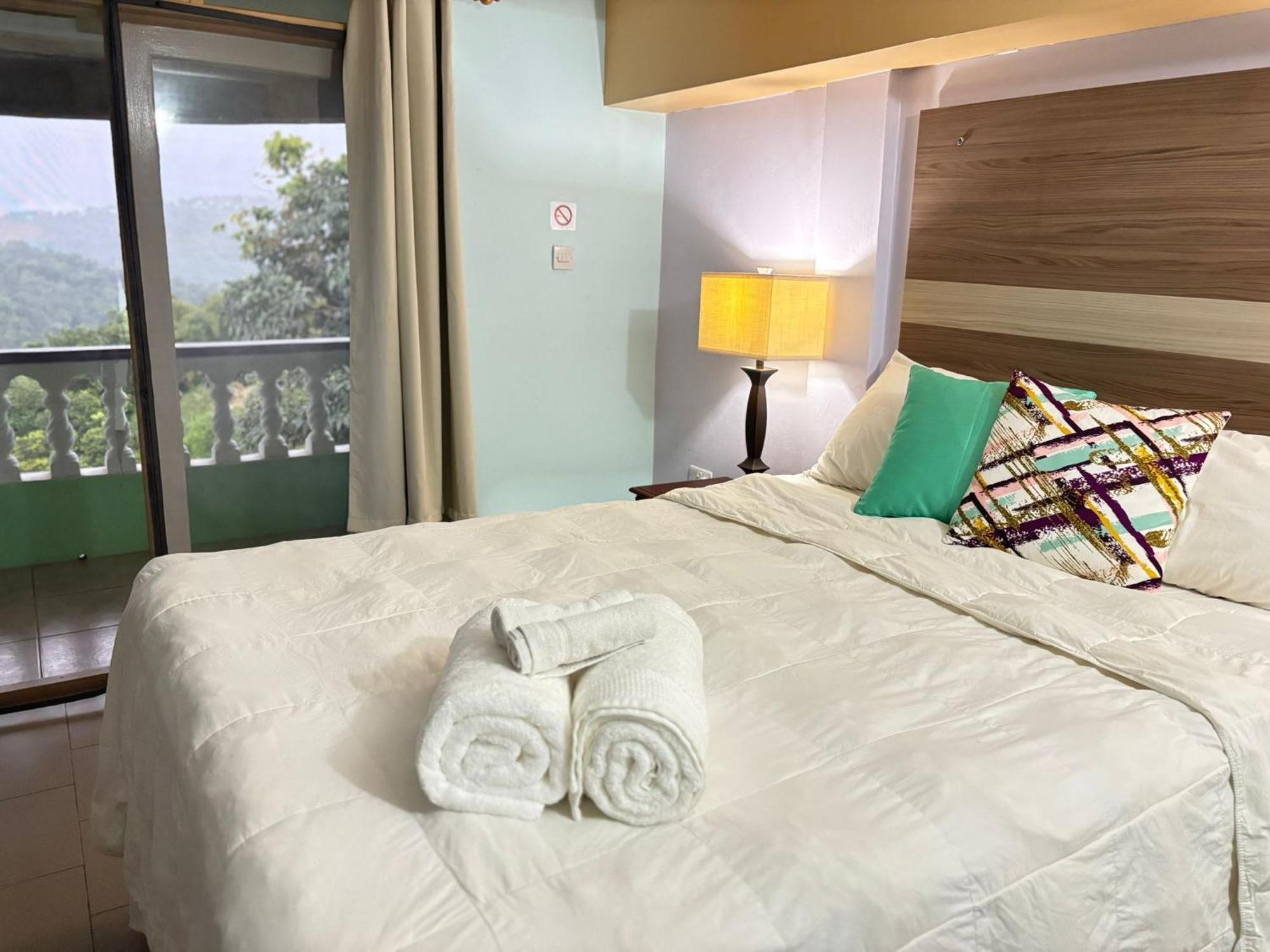 Matthew'S Miracle View Bed & Breakfast Roseau Dış mekan fotoğraf
