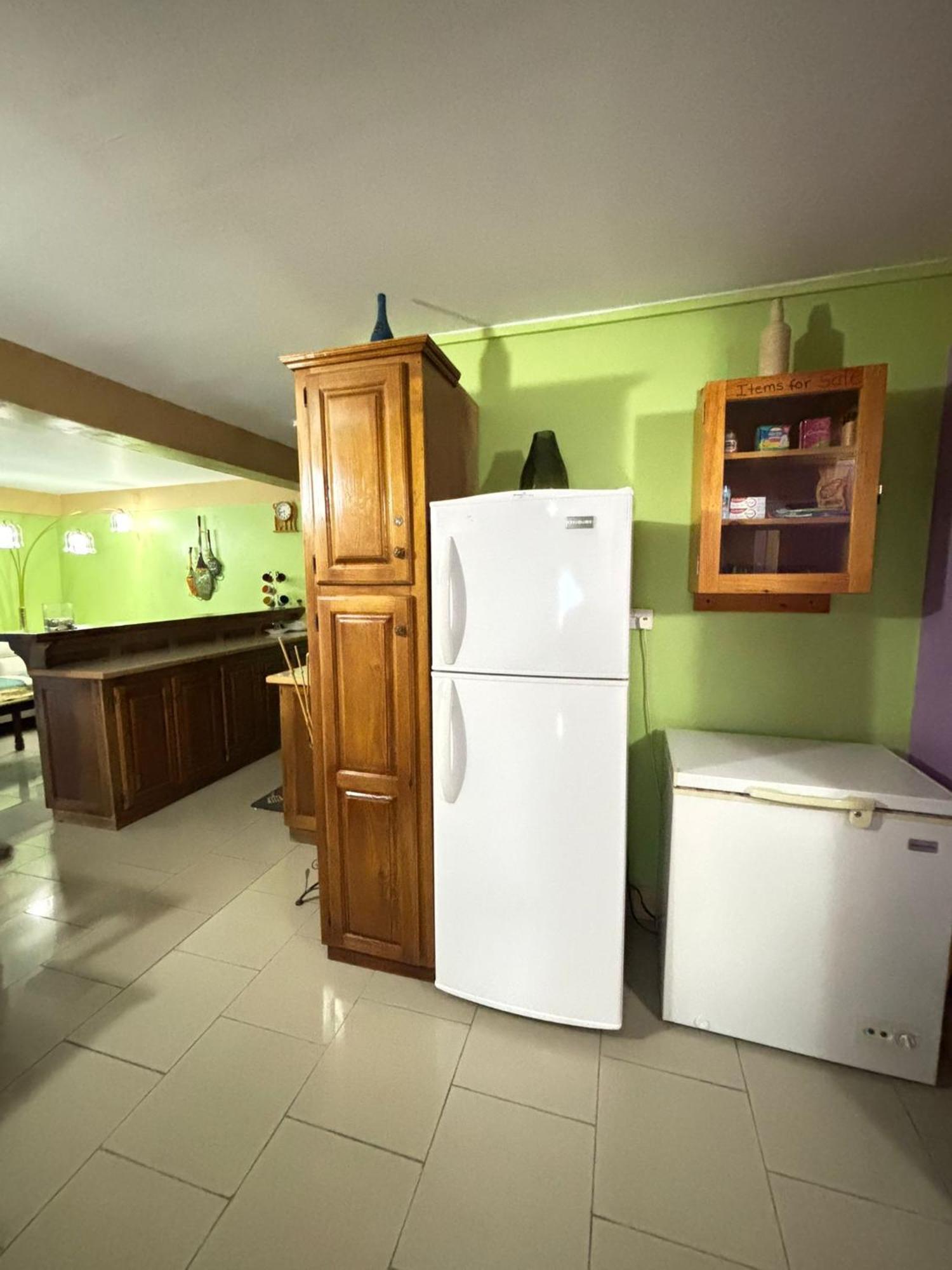 Matthew'S Miracle View Bed & Breakfast Roseau Dış mekan fotoğraf