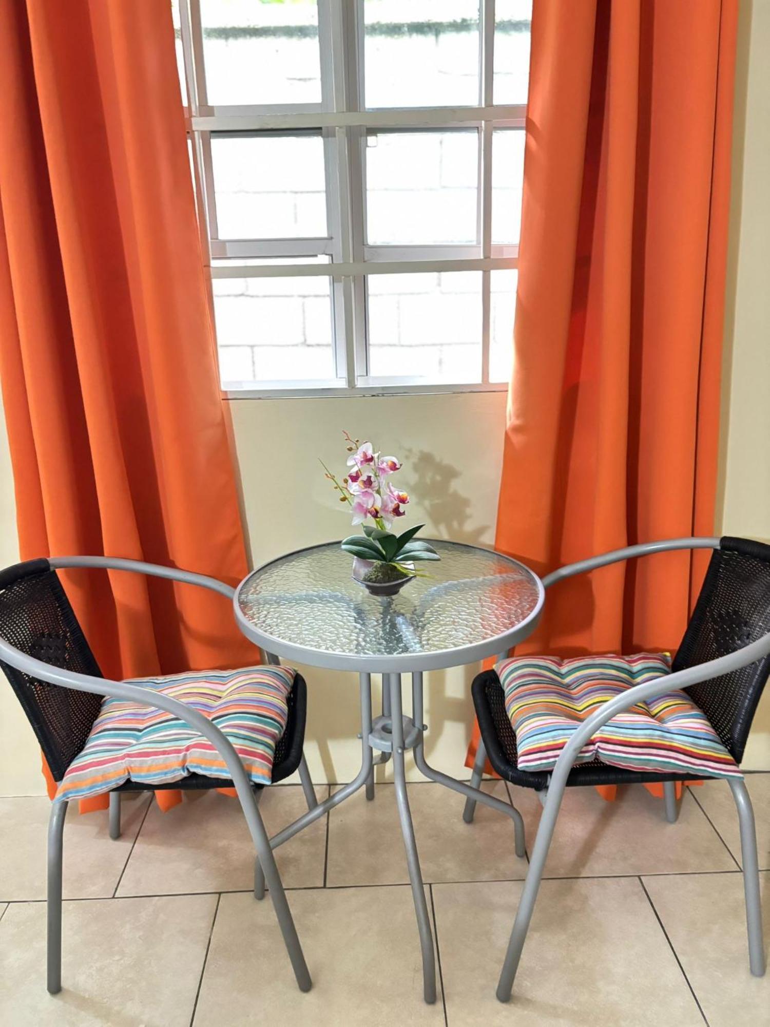 Matthew'S Miracle View Bed & Breakfast Roseau Dış mekan fotoğraf