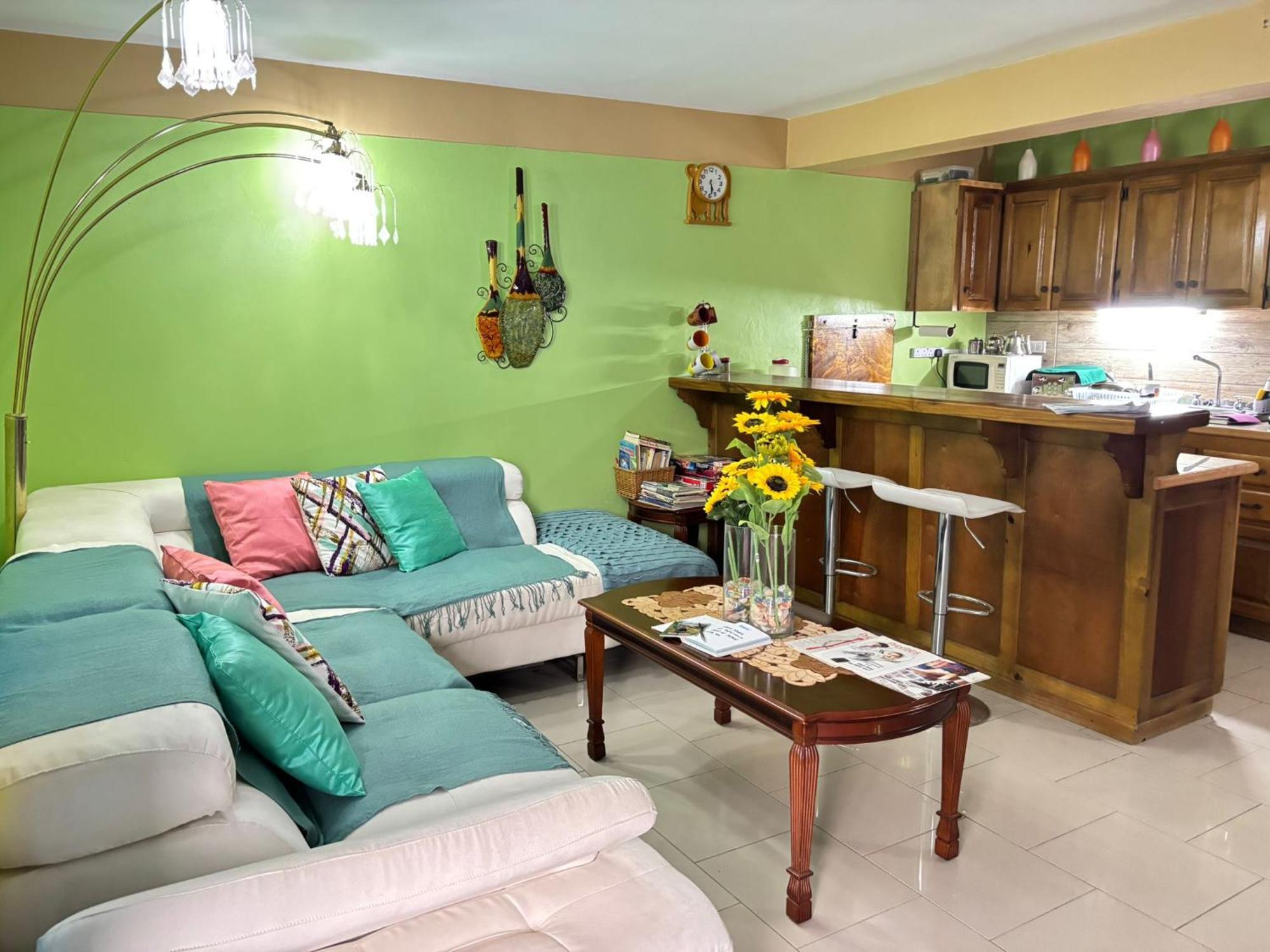 Matthew'S Miracle View Bed & Breakfast Roseau Dış mekan fotoğraf