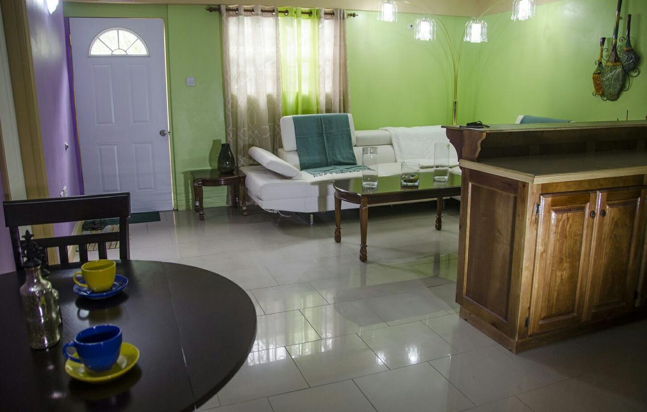 Matthew'S Miracle View Bed & Breakfast Roseau Dış mekan fotoğraf